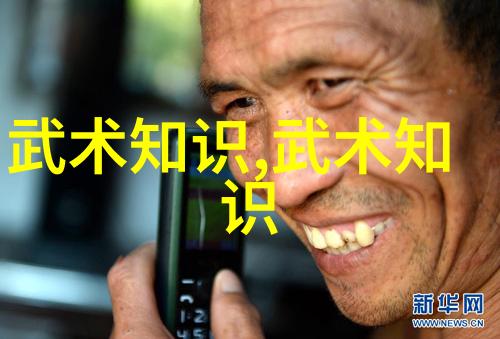 武术基本功网站探索内家外派训练的精髓与实践
