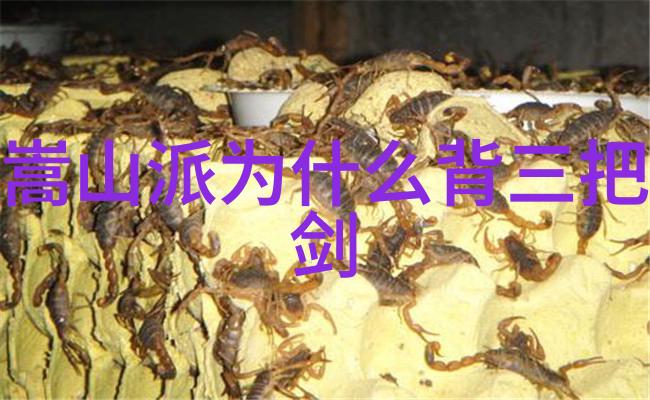 古风神韵寻觅江湖之冠的秘密