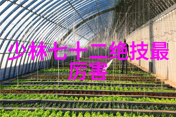 游戏古风帮派名字大全唯美我是如何为我的虚拟古风帮派挑选那一串让人心动的名字的