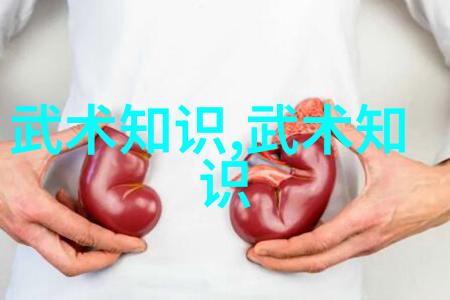 探索金庸武林世界一览全武功之大全