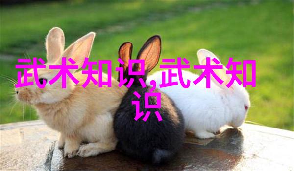武功秘籍网发劲如甩鞭松腰如砍树