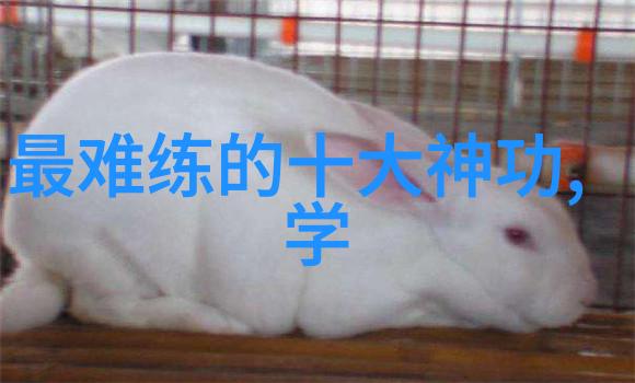 中国十大剑法揭秘那些江湖传说中的招式