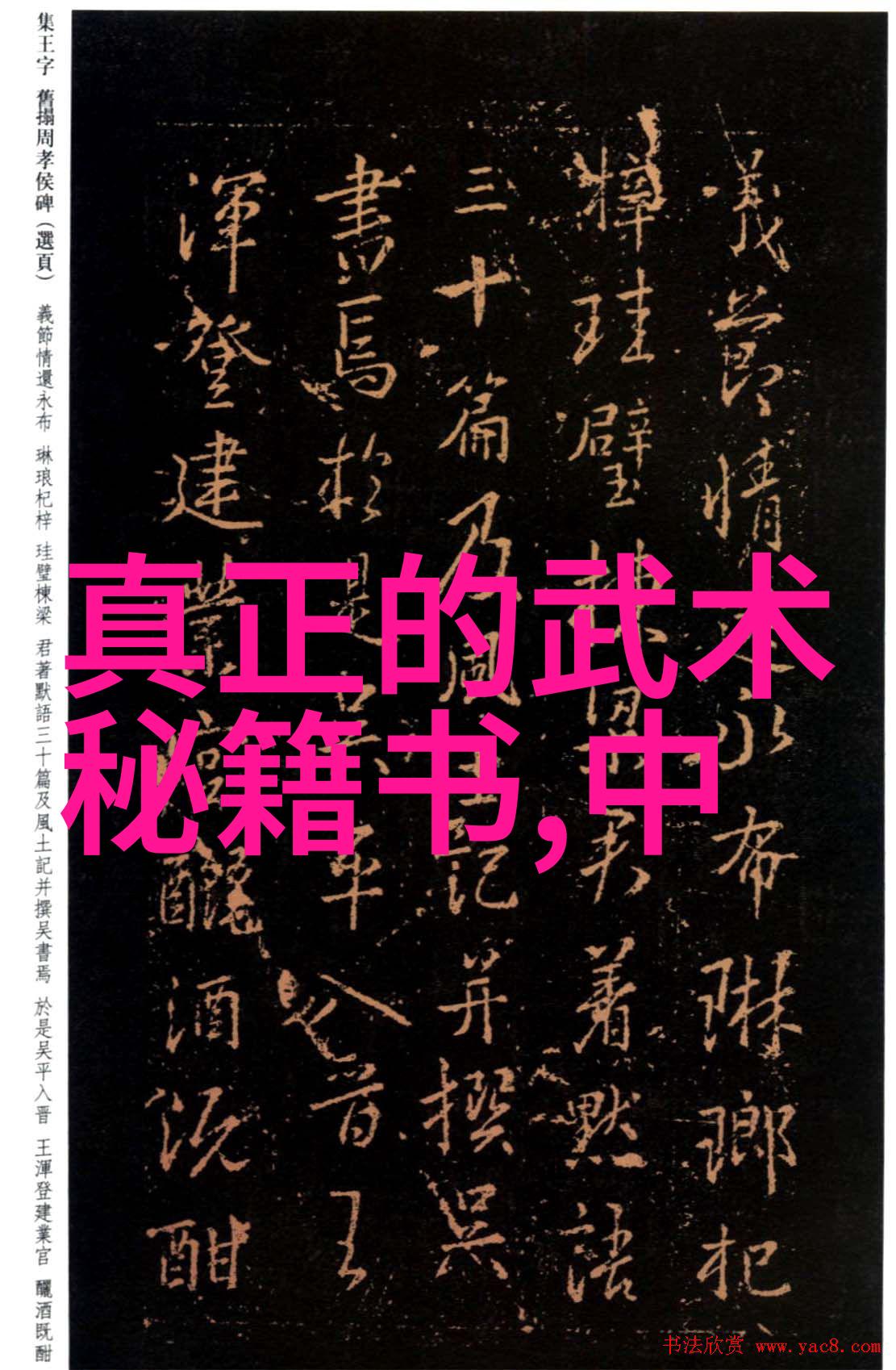 古风帮会秘录探寻青云社背后的传奇