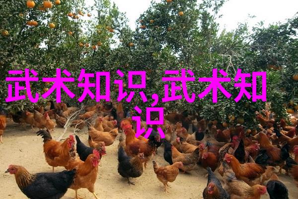 古风剑法名字-霜刃幽梦寻踪古老剑术