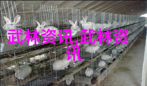 怪异圣贤的遗嘱