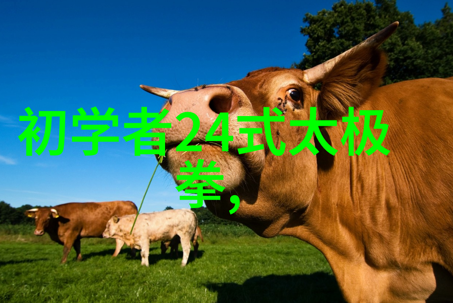 世界上最狠的拳法揭秘太极拳推手走粘技巧 - 张宝银