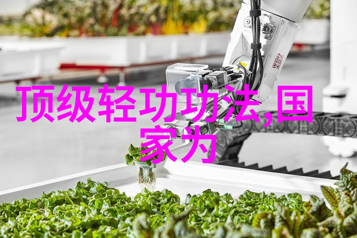 从爱的偏差到婚姻的正轨揭秘练成梦中情侣的秘诀