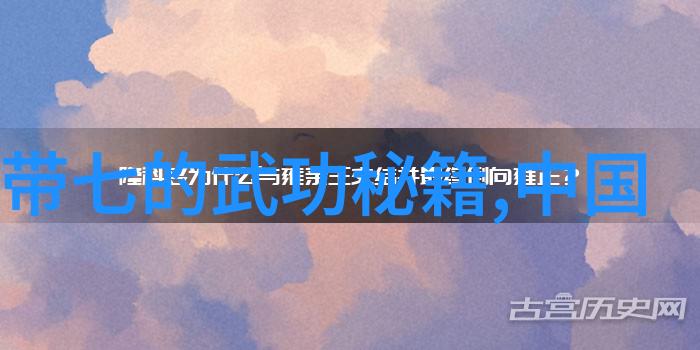 下厨房TXL金银花露探索传统中药美味的现代化融合