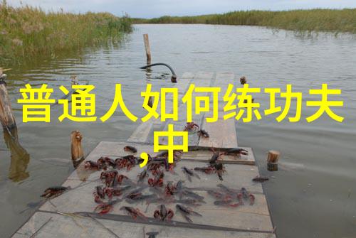 古籍秘笈武学纂要