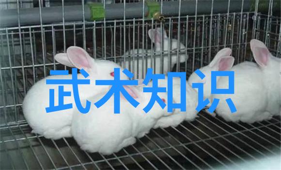 全国农民传统武术大赛在重庆市万盛