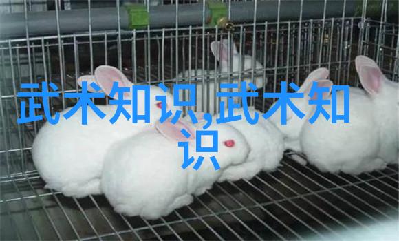 古今情缘探寻仙盟名字的诗意与神韵