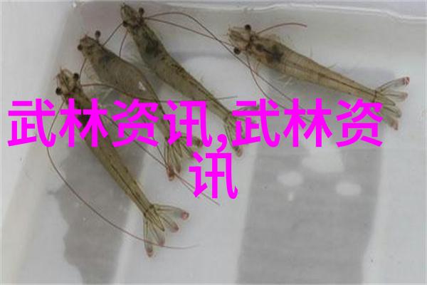一年24节气与太极拳交相辉映犹如天地之大势人生之轮回探讨其间的深邃关系便是披露武术奥秘的钥匙自学者们