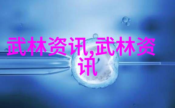 武术的内在哲学与实战应用探究