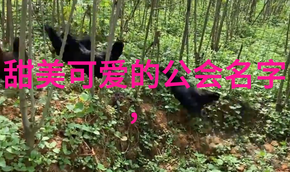 帮派名字大全探秘地下世界的符号与标志