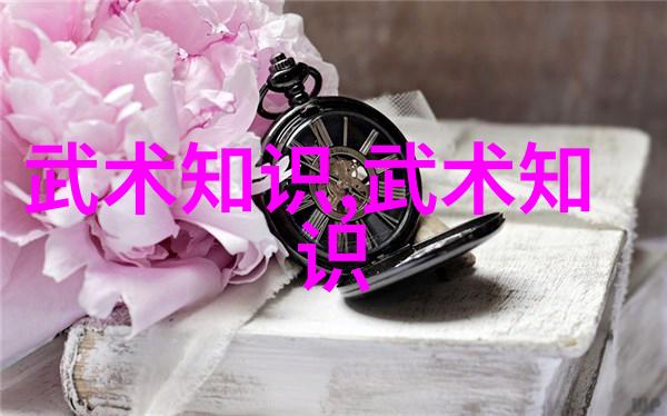 心法悟道 解读中国武术秘籍书中的心灵修养智慧