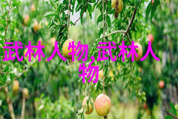 武林盛世揭秘武术活动名称大全的奥秘