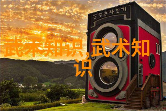 中国武术十大拳法排名中的七星螳螂拳人物精通其门派拳种