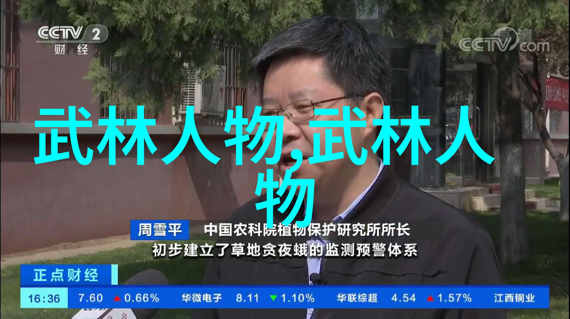 太极流转24式分解动作的艺术之韵