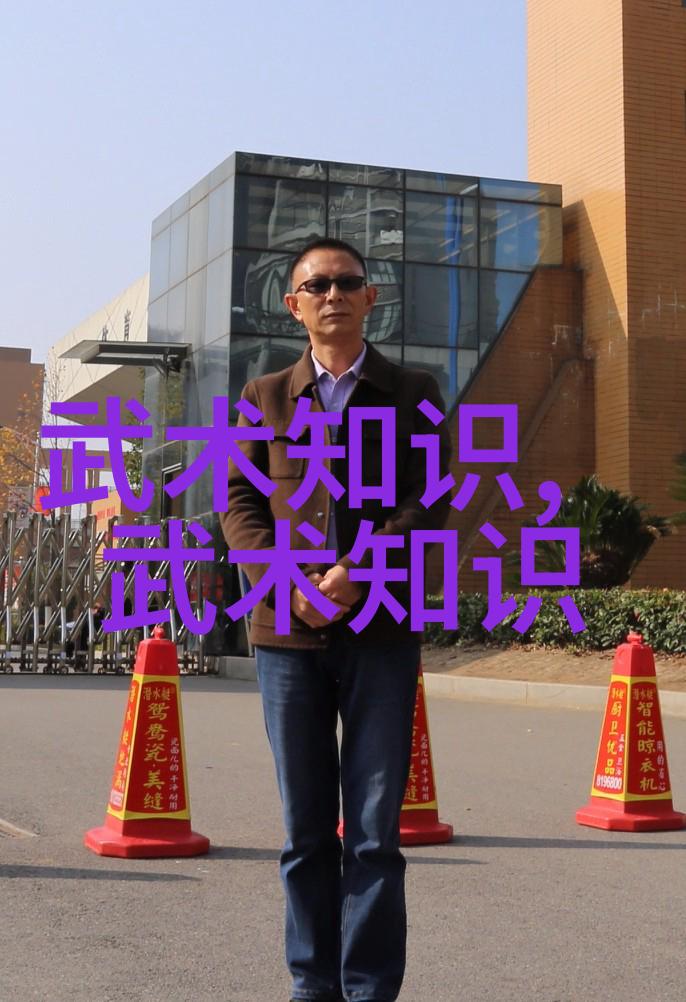 诗意拳林中国意拳在社会舞台上的精彩演绎