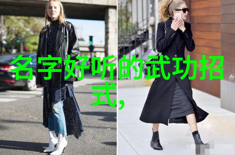 张杰刘淑君的陈式太极拳技击之声东击西探索中国最有实战性的功夫于大自然中