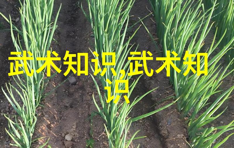 梦想成真脚下千军万马快捷路径学会翻墙跳河技巧