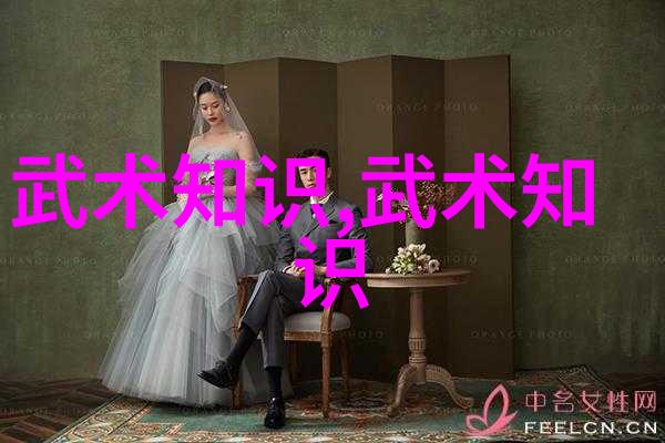 宗门征途云霄阁之谜