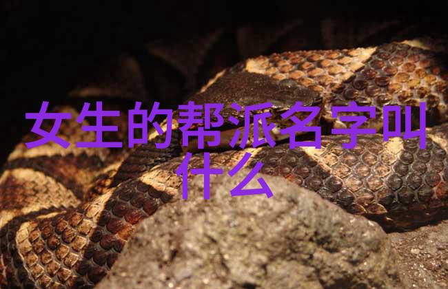 权力重组各大门派掌门人的变化和影响