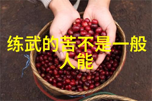 太极24式分解式介绍我来教你如何一招一个姿势掌握这门内功心法