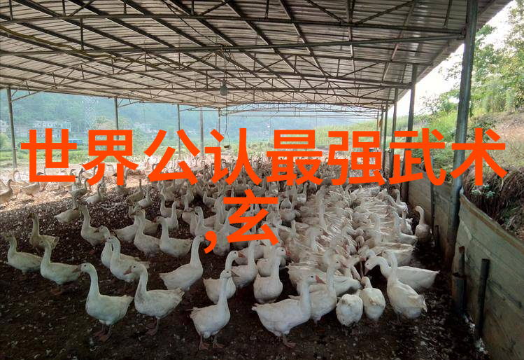 太极拳24式分解动作教学-探索太极之美深入解析24式的每一个动作