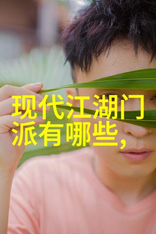 揭秘太极24式探索正面与背面的精妙对映