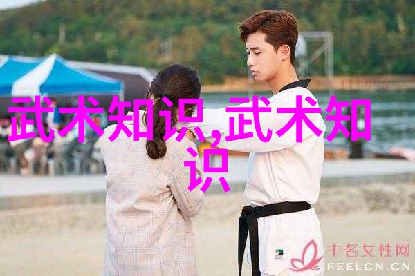 仙境之刃梦境之锋探究那些仅存在于仙界的独特剑术