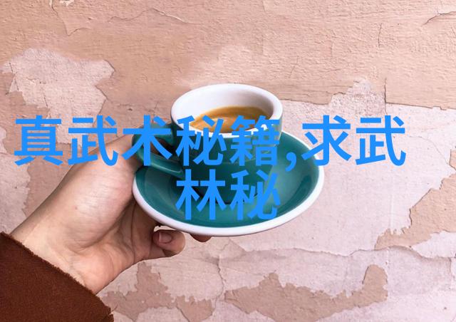 中国武术史上最为神秘的巨大体系探寻千年之巅的武学祖宗
