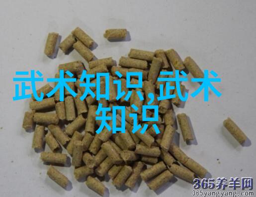 松开的掤劲张志明十三式太极拳分解动作在社会中的应用