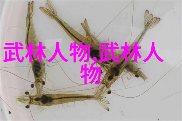 武林秘籍门派谱系的传说与现实