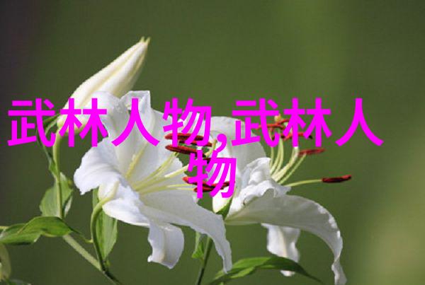 古龙四大绝世神功中的心意拳人物内心的精妙之处