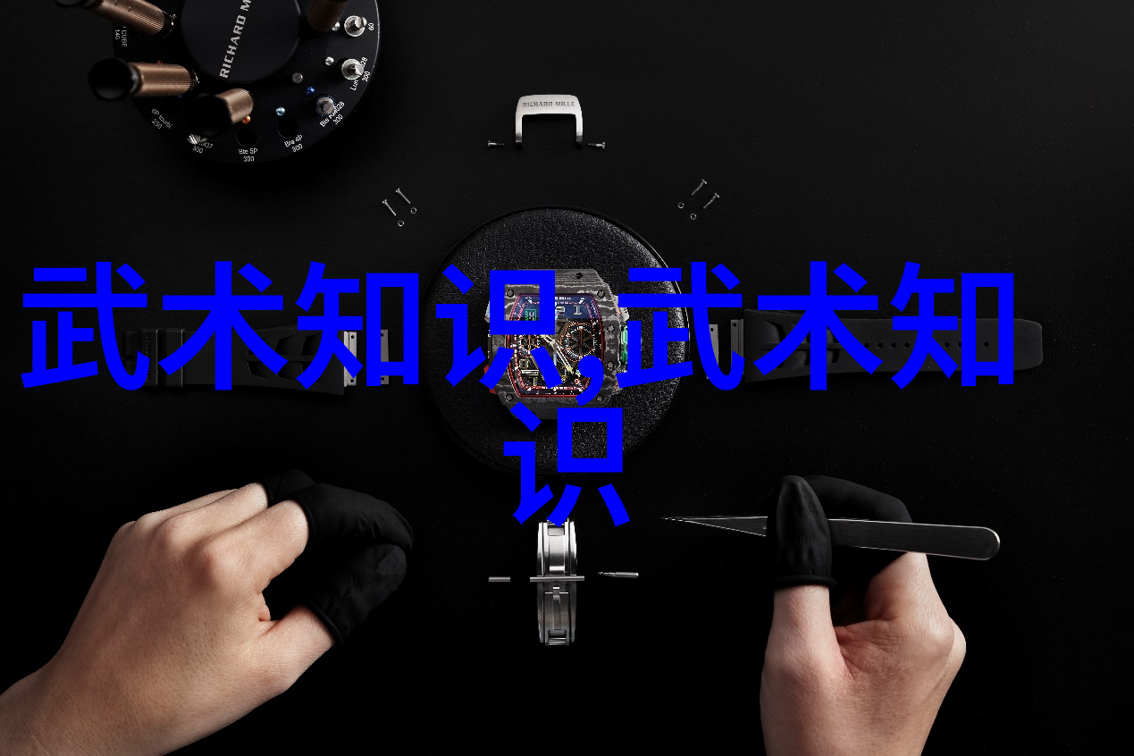 武林最强之门派天龙门的秘密