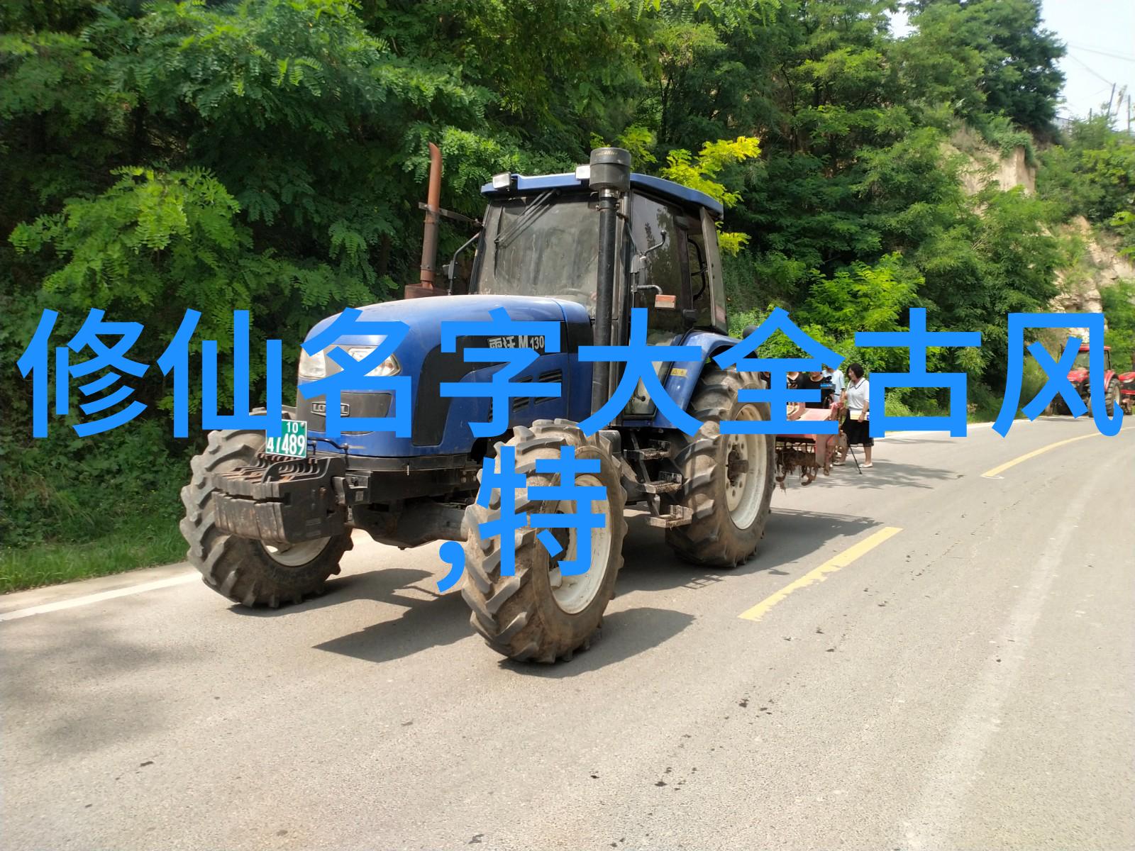 武道之路探寻最佳起步年龄的秘密