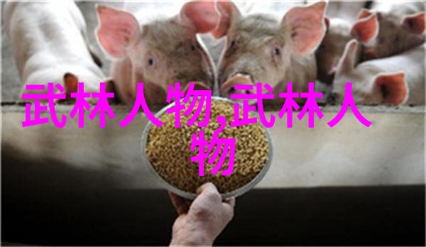 中国武术宝库揭秘最著名的内功外式艺术