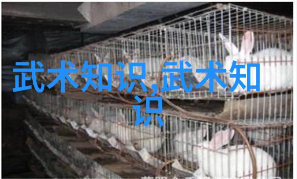 好妈妈韩国温情动漫全集探秘