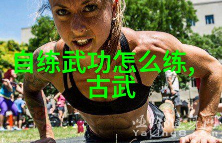 江湖动态武林名家齐聚京城