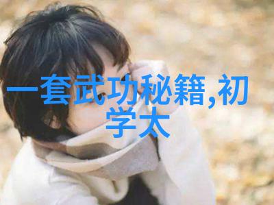 2021年1月震撼拳击比赛视频回顾