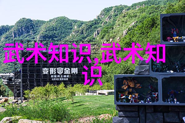 功夫怎么练从基础到精通的全程指南