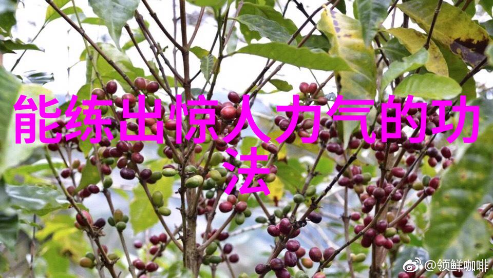简易24式太极拳揭秘其灵动呼吸之谜