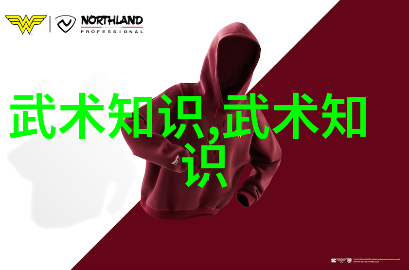 气功体验太极拳精髓与功夫大全招式拳法合一