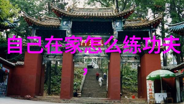 初学武术套路拳法-悟门槛初学者武术套路拳法的入门指南