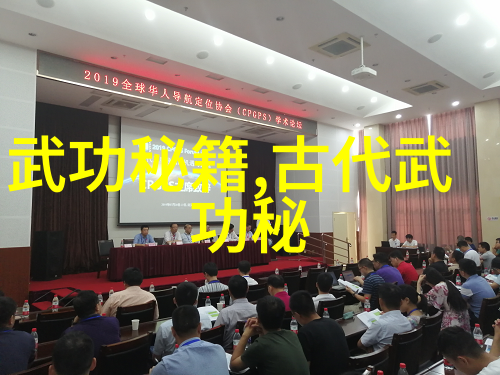 从太极到八卦中国拳法有哪些主要类型