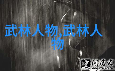轻功飞翔之路揭秘轻功练习的艺术与技巧