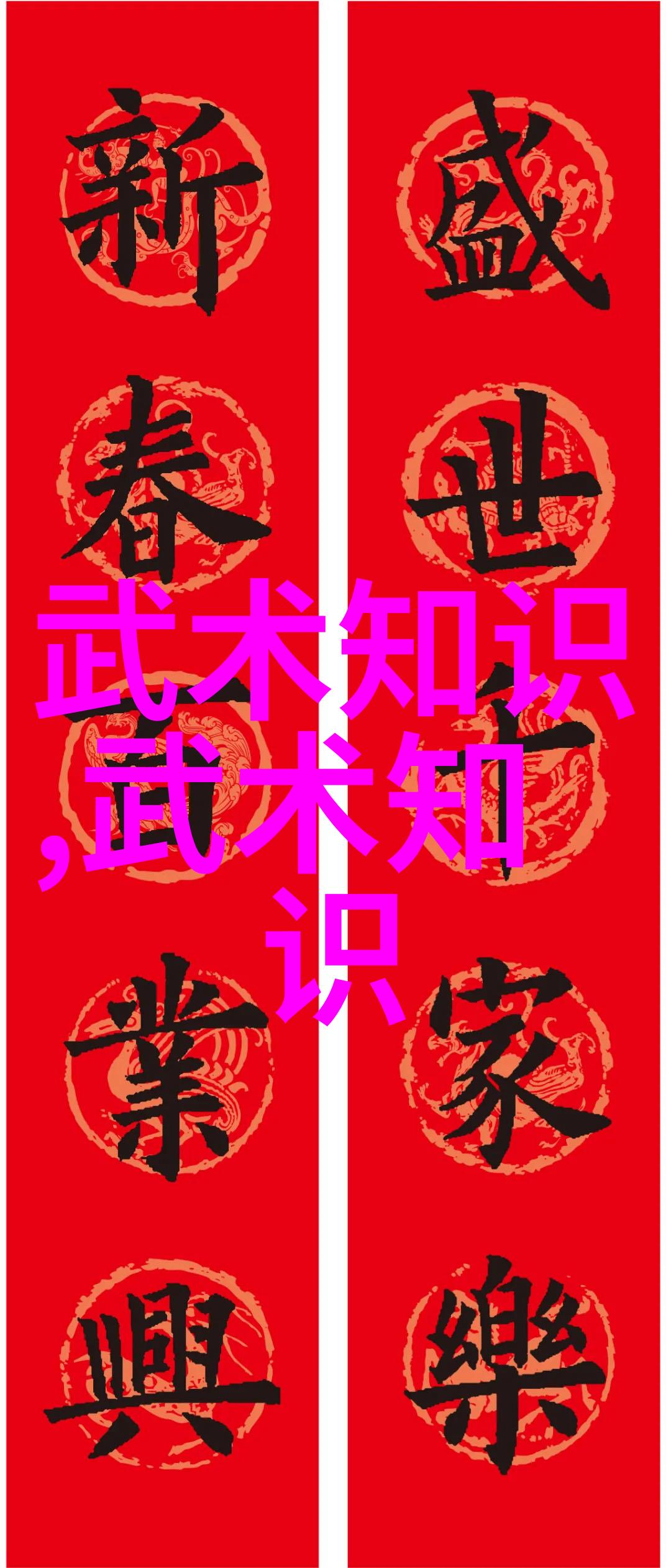 武术的秘密十二式征服
