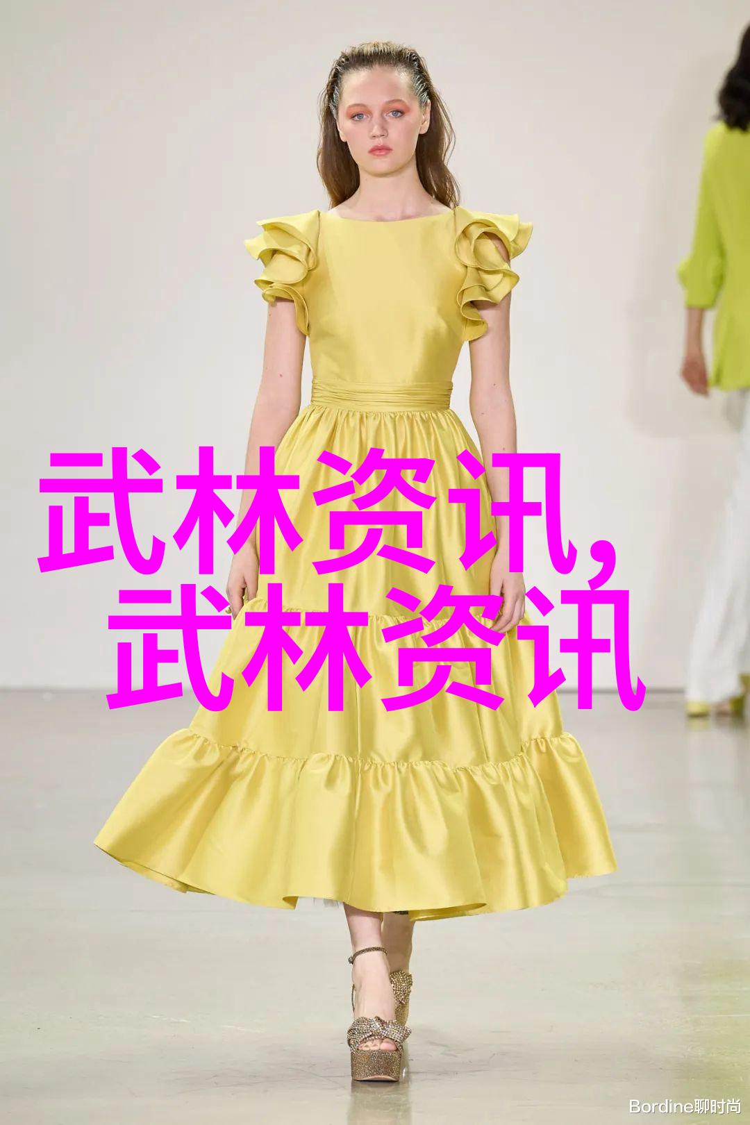 绮丽梦想武当女侠