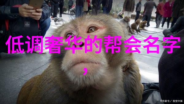 好听的帮会名字儒雅心意拳之创立传说